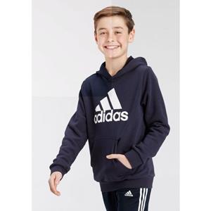 adidas Sportswear Kapuzensweatshirt "BIG LOGO ESSENTIALS COTTON HOODIE"