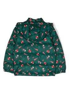 Donsjack met capuchon - Groen