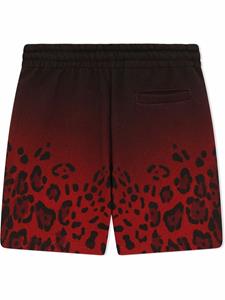 dolce&gabbanakids Dolce & Gabbana Kids Shorts met luipaardprint - Zwart