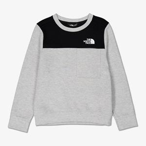 The north face Kids Tech Crew Sweater TNF Light Grey Heather