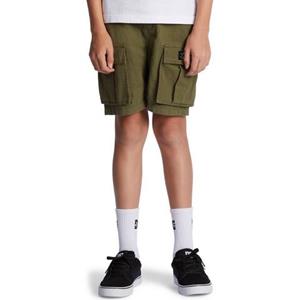 DC Shoes Cargoshort Toendra