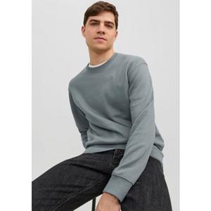 Jack & Jones Sweatshirt JJESTAR BASIC SWEAT CREW NECK NOOS