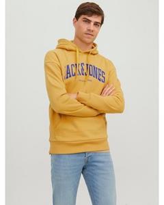 Jack & Jones Hoodie JJEJOSH SWEAT HOOD NOOS