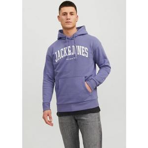 Jack & Jones Kapuzensweatshirt "JJEJOSH SWEAT HOOD NOOS"