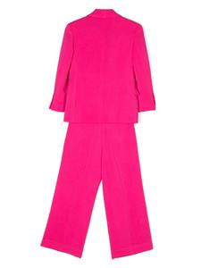 shawl-lapel single-breasted suit - Roze