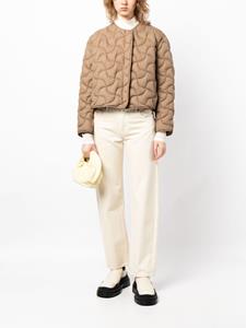 Cropped jack - Bruin
