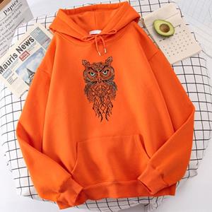 Boutique sports suit series 2 Hot Sale Thick Winter Men Hoody Dashing Owl Face Printing Sportwear Fleece Autumn Male Hooded Oversized Comfortable Sweatshirt
