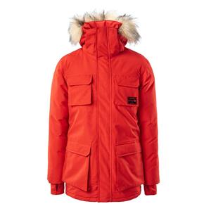 Iguana Heren taavo geïsoleerde parka