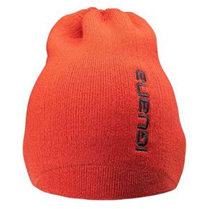 Iguana Heren aspar wintermuts