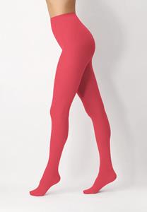 All Colors 50 denier legging