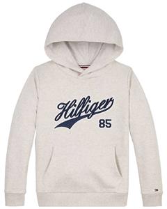Tommy hilfiger Hoodie in molton