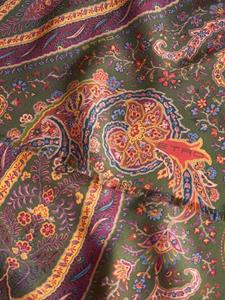 ETRO Zijden sjaal met paisley-print - Groen