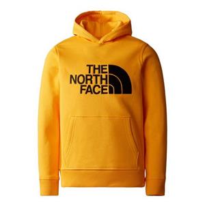 The North Face Hoodie DREW PEAK P/O HOODIE - KIDS met groot logoborduursel