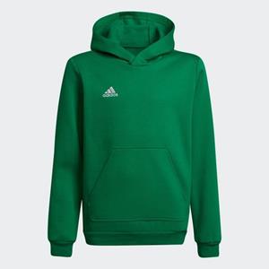 Adidas Hoodie ENT22 HOODY Y