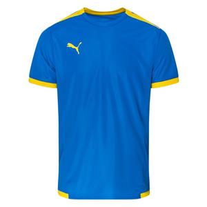 PUMA Trainingsshirt teamLIGA - Blauw/Geel
