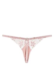 Bordelle String - Roze