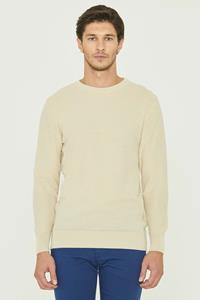 ORGANICATION Herren vegan Strickpullover Beige