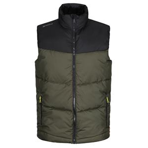 Regatta Geïsoleerde bodywarmer heren regime