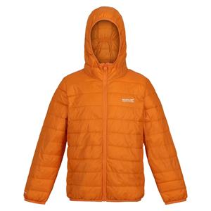 Regatta Childrens/Kids Hillpack Hooded Jacket (Herfst Esdoorn)