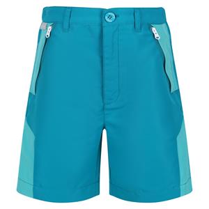 Regatta Sorcer ii bergshorts voor kinderen/kinderen