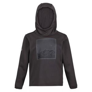 Regatta Kinder/Kids Highton Berg Extol Stretch Hoodie (Donkergrijs)