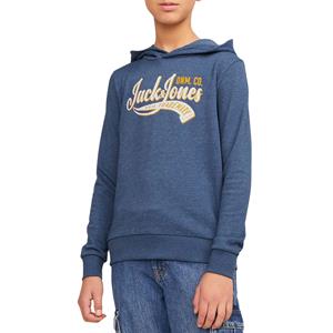 Jack & Jones Junior Hoodie JJELOGO SWEAT HOOD 2 COL 24 SN JNR