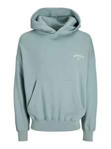 Jack and Jones Jorsantorini Graphic Sweat Hood Sn