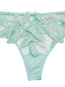 Fleur Du Mal Lily-embroidered sheer thong - Groen