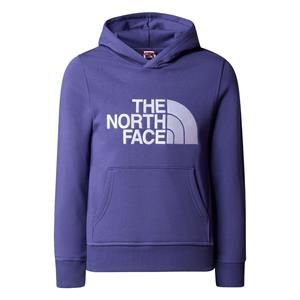 The north face Kids Drew Peak Hoodie Cave Blue