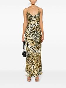 robertocavalli Roberto Cavalli Jurk met luipaardprint - Bruin