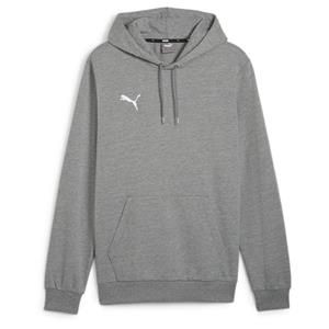 Puma Heren hoodie (L, Grijs)