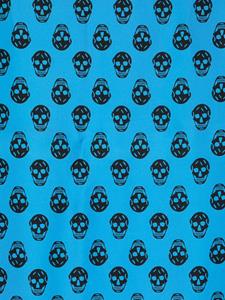 Alexander McQueen skull-print silk scarf - Blauw