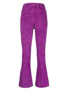 PAULA Flared broek - Paars