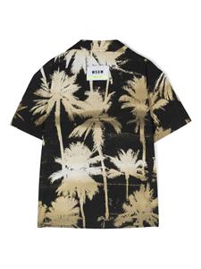 msgmkids MSGM Kids Shirt met palmboomprint - Zwart