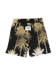 msgmkids MSGM Kids Bermuda shorts met palmboomprint - Zwart