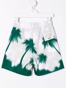msgmkids MSGM Kids Shorts met palmboomprint - Beige
