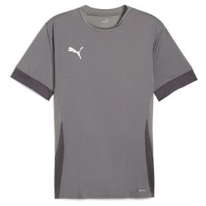 PUMA teamGOAL Matchday Voetbalshirt Grijs Wit