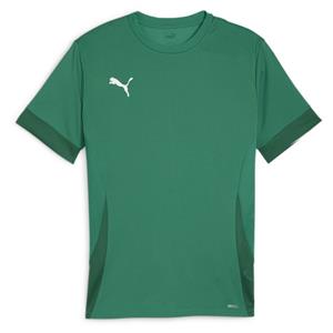 PUMA teamGOAL Matchday Voetbalshirt Groen Wit