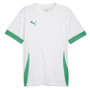 PUMA Trainingsshirt teamGOAL - Wit/Groen