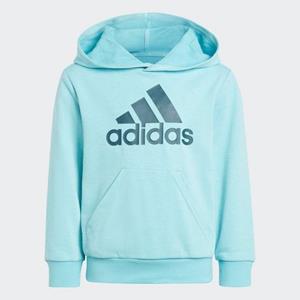 adidas Sportswear Kapuzensweatshirt "LK BL FT HD"