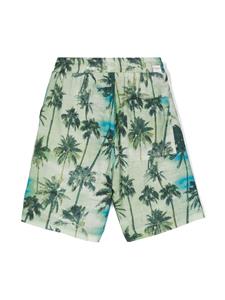 paolopecorakids Paolo Pecora Kids Straight shorts met palmboomprint - Groen