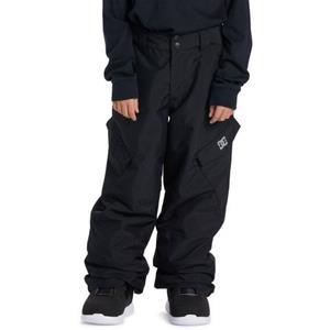DC Shoes Snowboardhose "Banshee"