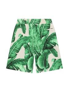 Dolce & Gabbana Kids Katoenen shorts met bananenbladprint - Groen