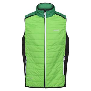 Regatta Heren halton baffled vii colour block gewatteerd gilet