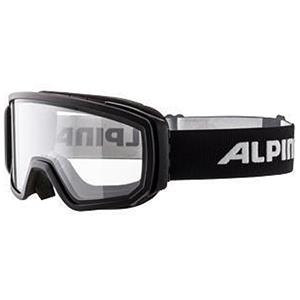 Alpina Sports Sonnenbrille Alpina Scarabeo Skibrille