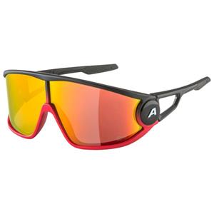 Alpina - Legend Q-Lite Cat. 3 - Zonnebril meerkleurig