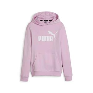 Puma Essentials Logo Hoodie