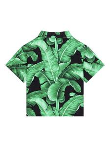 dolce&gabbanakids Dolce & Gabbana Kids Shirt met bladprint - Zwart