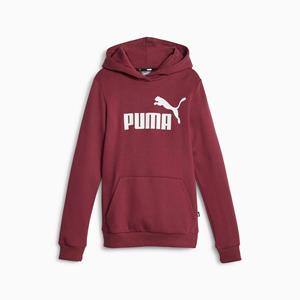 Puma Hoodie in molton