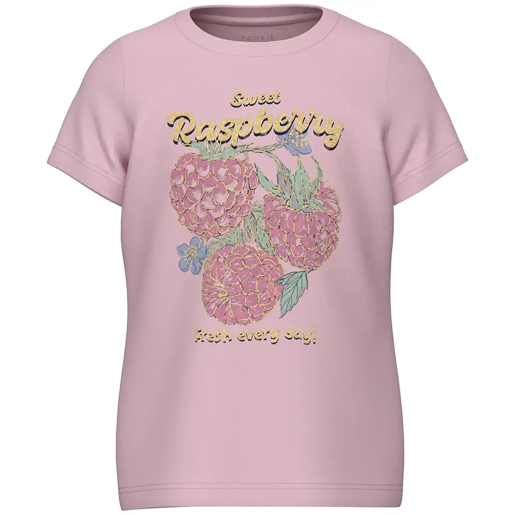 Name It-collectie T-shirt Dias (parfait pink)
